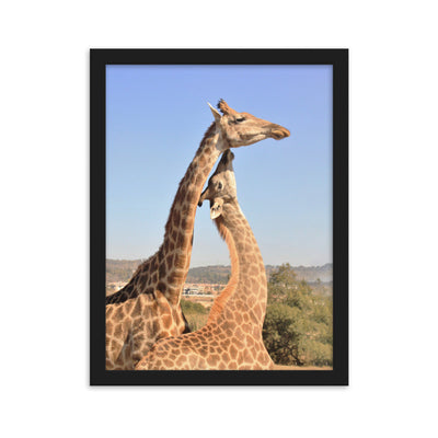 Giraffen - Poster im Rahmen Kuratoren von artlia Schwarz / 30×40 cm artlia