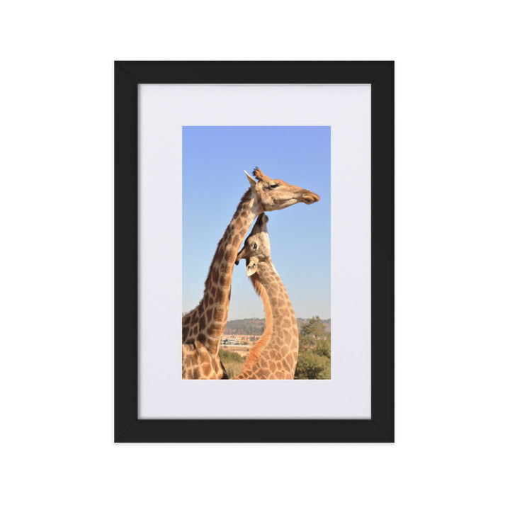 Giraffen - Poster im Rahmen mit Passepartout Kuratoren von artlia Schwarz / 21×30 cm artlia