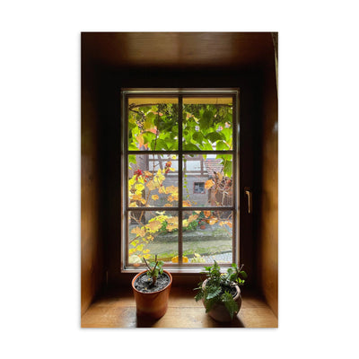 Herbstfenster Margersdorf - Postkarte Kuratoren von artlia artlia