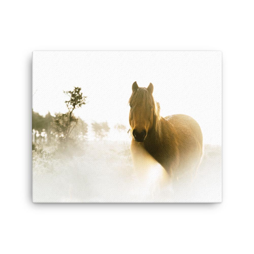 Horse in Dream Pferd im Traum - Leinwand artlia 16″×20″ artlia