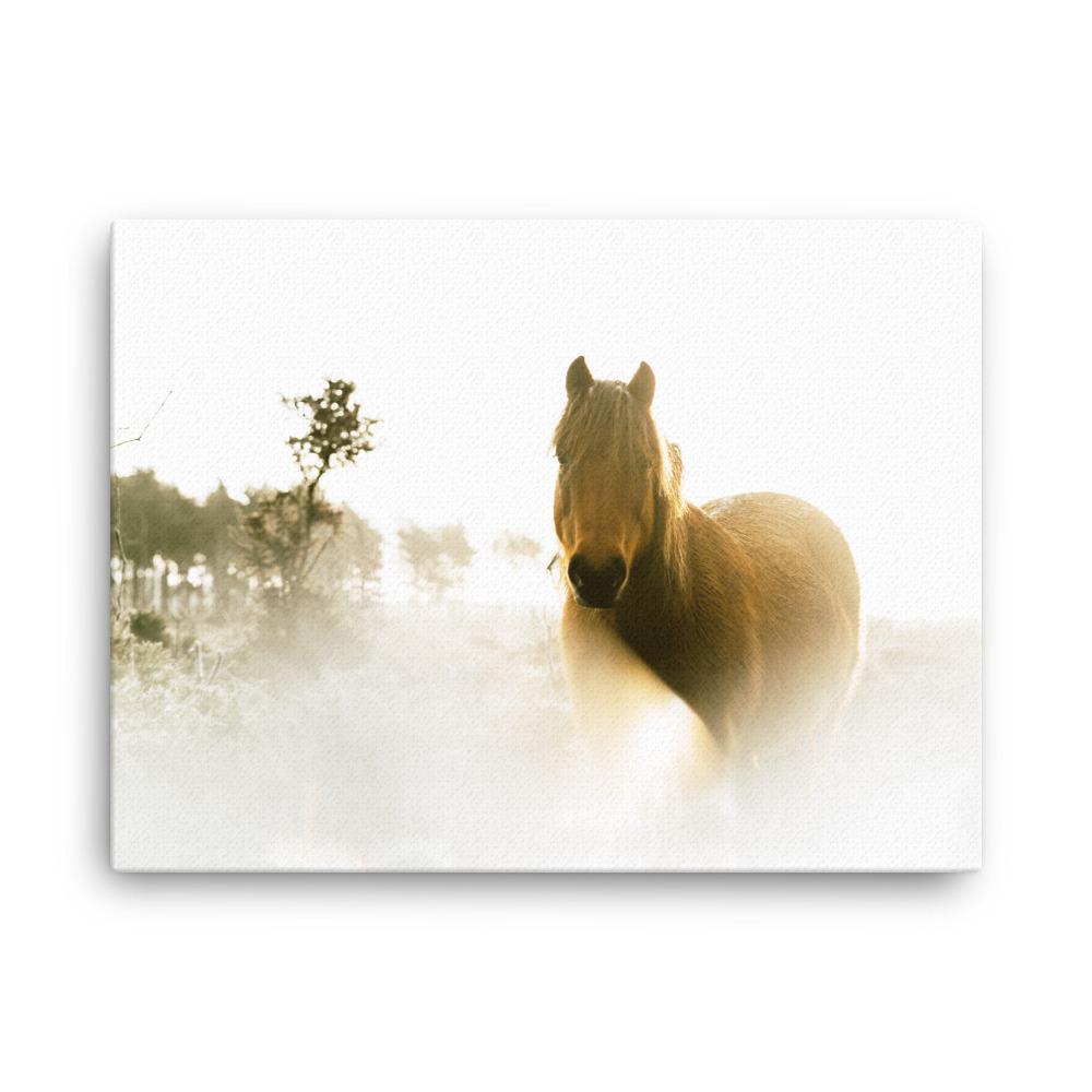 Horse in Dream Pferd im Traum - Leinwand artlia 18″×24″ artlia
