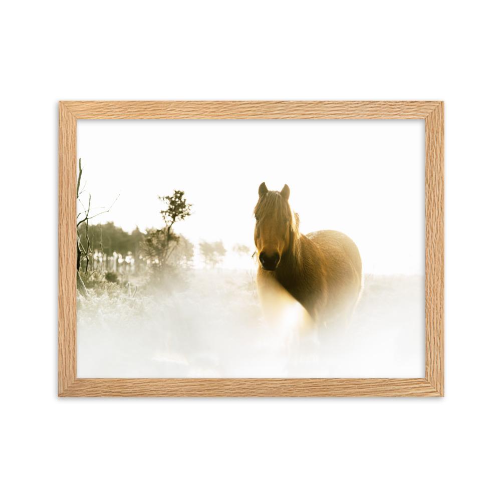 Horse in Dream Pferd im Traum - Poster im Rahmen artlia Oak / 30×40 cm artlia