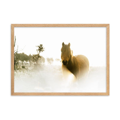 Horse in Dream Pferd im Traum - Poster im Rahmen artlia Oak / 50×70 cm artlia