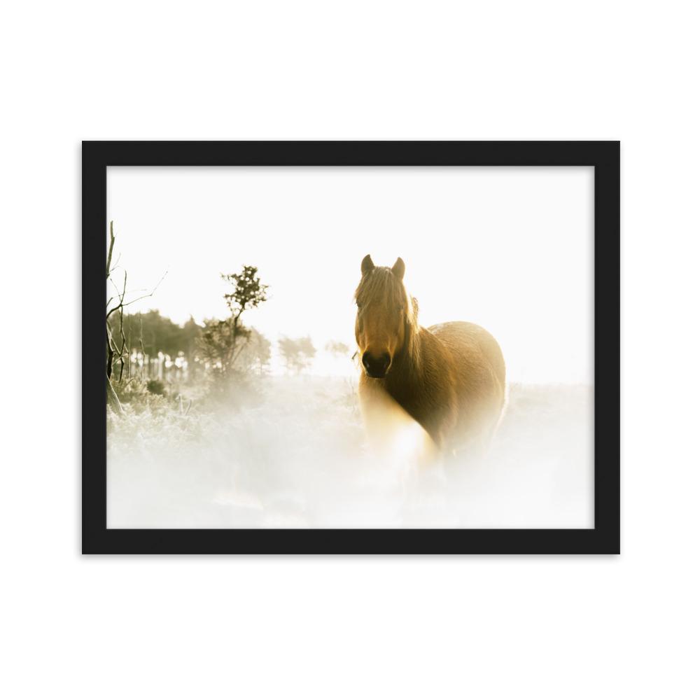 Horse in Dream Pferd im Traum - Poster im Rahmen artlia Schwarz / 30×40 cm artlia
