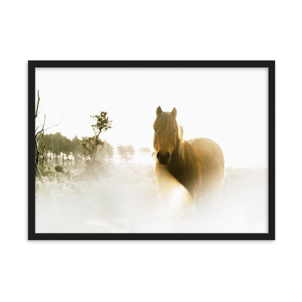 Horse in Dream Pferd im Traum - Poster im Rahmen artlia Schwarz / 50×70 cm artlia