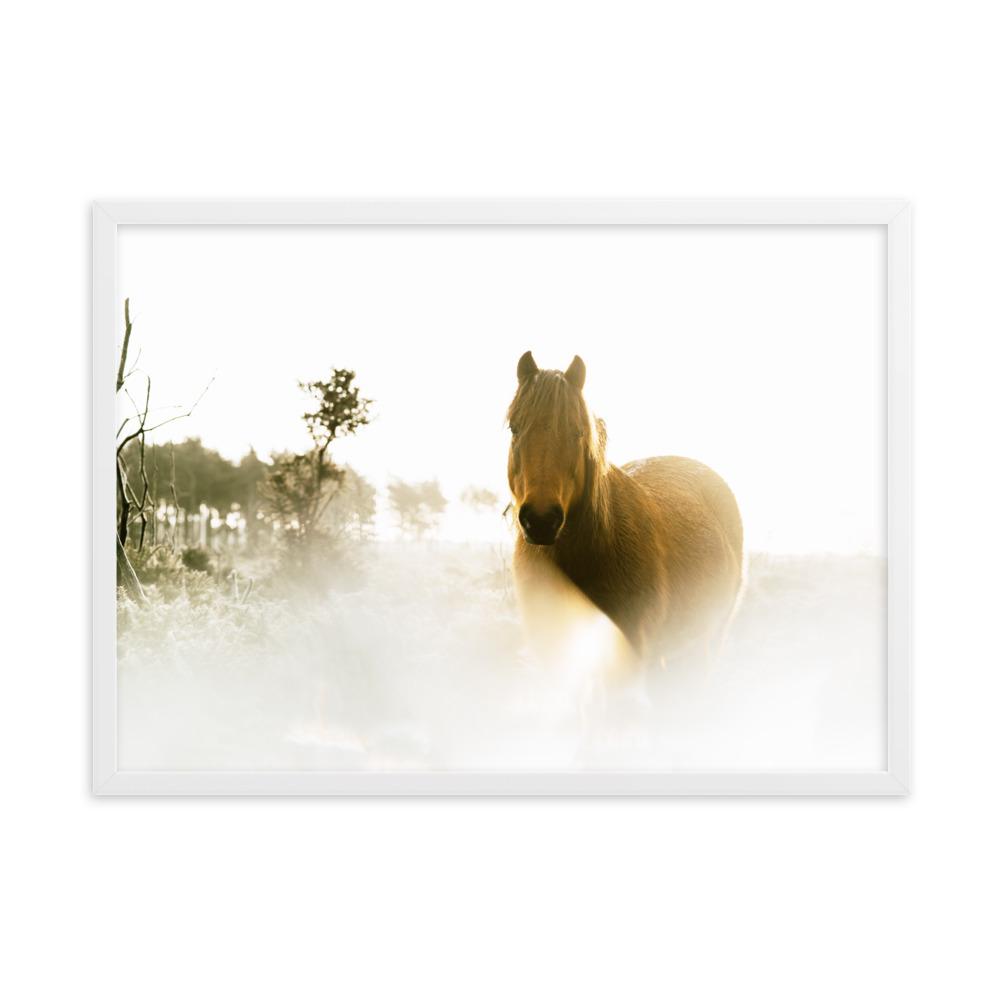 Horse in Dream Pferd im Traum - Poster im Rahmen artlia Weiß / 50×70 cm artlia