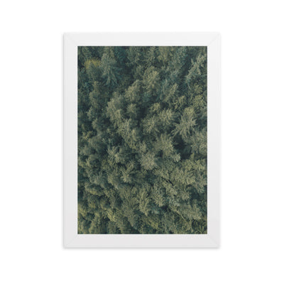 Kiefernwald Pine Forest - Poster im Rahmen Kuratoren von artlia Weiß / 21×30 cm artlia