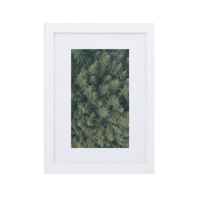 Kiefernwald Pine Forest - Poster im Rahmen mit Passepartout Kuratoren von artlia Weiß / 21×30 cm artlia