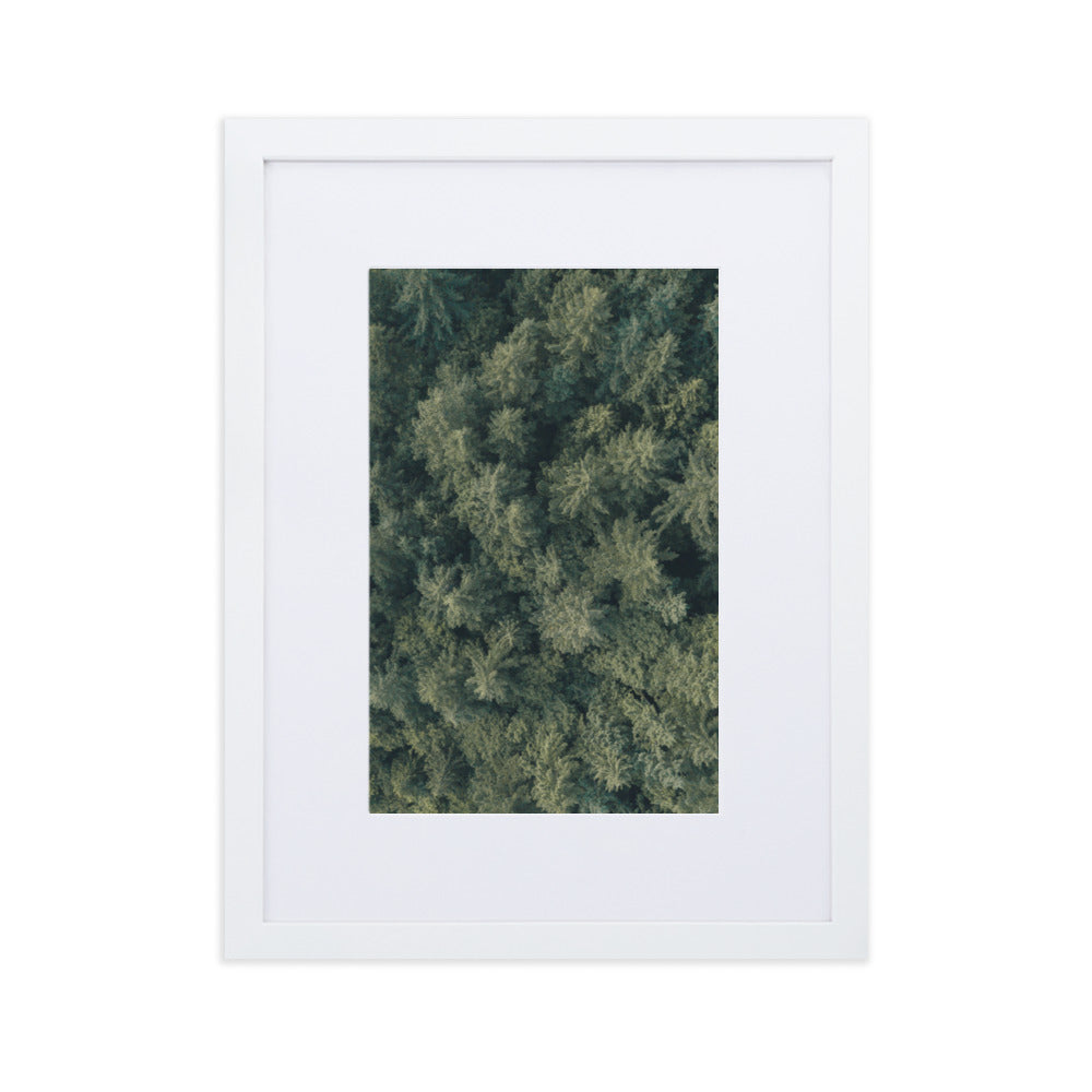 Kiefernwald Pine Forest - Poster im Rahmen mit Passepartout Kuratoren von artlia Weiß / 30×40 cm artlia