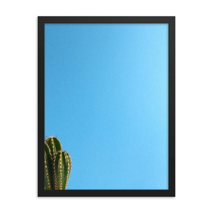 kleiner Kaktus - Poster im Rahmen Kuratoren von artlia schwarz / 30x41 cm artlia
