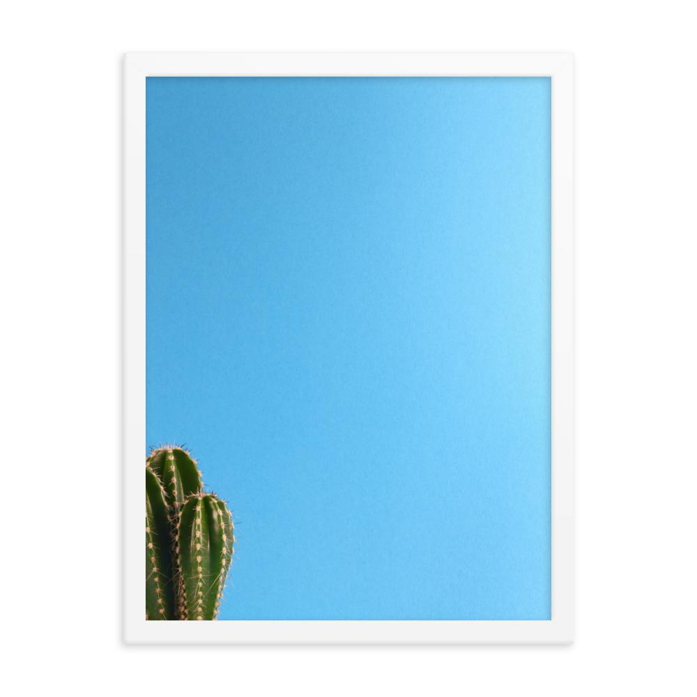 kleiner Kaktus - Poster im Rahmen Kuratoren von artlia weiß / 30x41 cm artlia