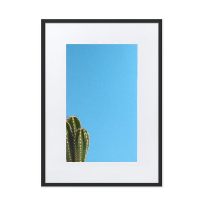 kleiner Kaktus - Poster im Rahmen mit Passepartout Kuratoren von artlia schwarz / 50×70 cm artlia