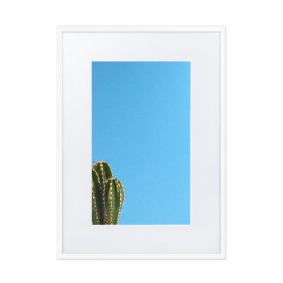 kleiner Kaktus - Poster im Rahmen mit Passepartout Kuratoren von artlia weiß / 50×70 cm artlia
