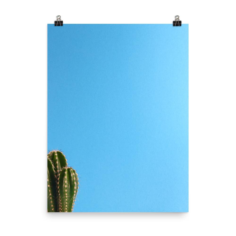 kleiner Kaktus - Poster Kuratoren von artlia 30x41 cm artlia