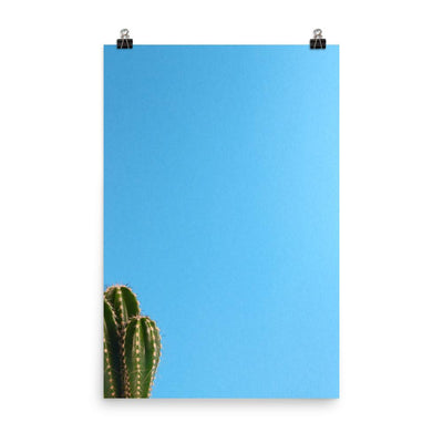 kleiner Kaktus - Poster Kuratoren von artlia 30x45 cm artlia