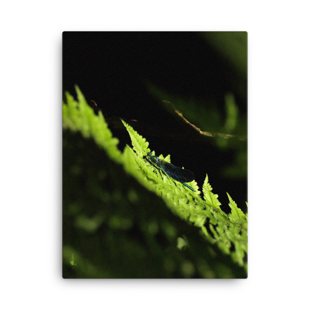 Leinwand - Grüne Libelle Kuratoren von artlia 30x41 cm artlia