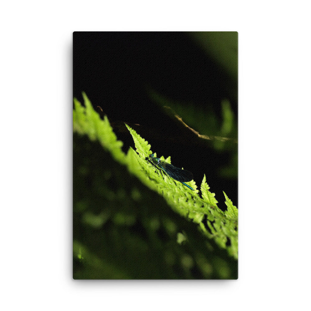 Leinwand - Grüne Libelle Kuratoren von artlia 61x91 cm artlia