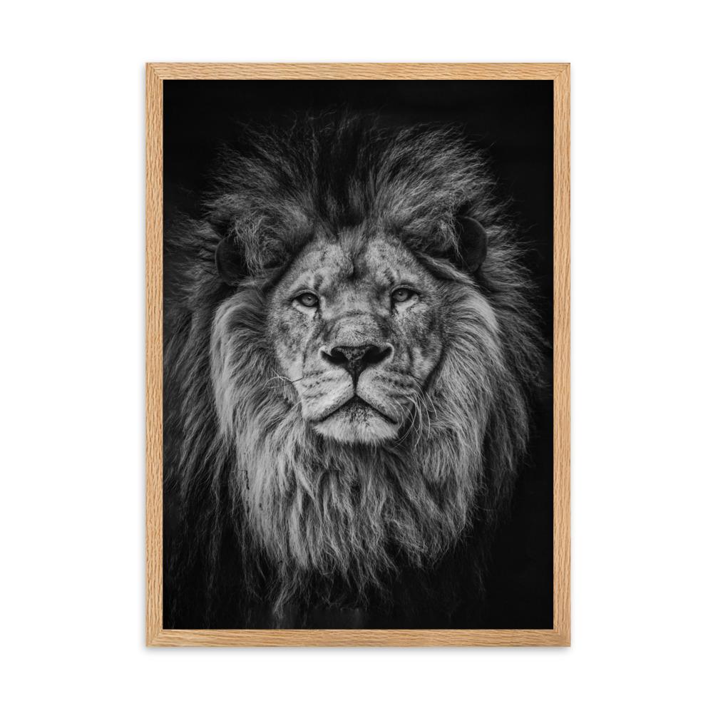 Loewe Lion - Poster im Rahmen artlia Oak / 50×70 cm artlia