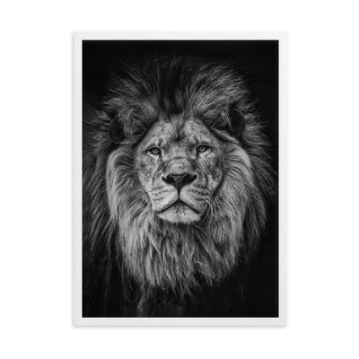 Loewe Lion - Poster im Rahmen artlia Weiß / 50×70 cm artlia