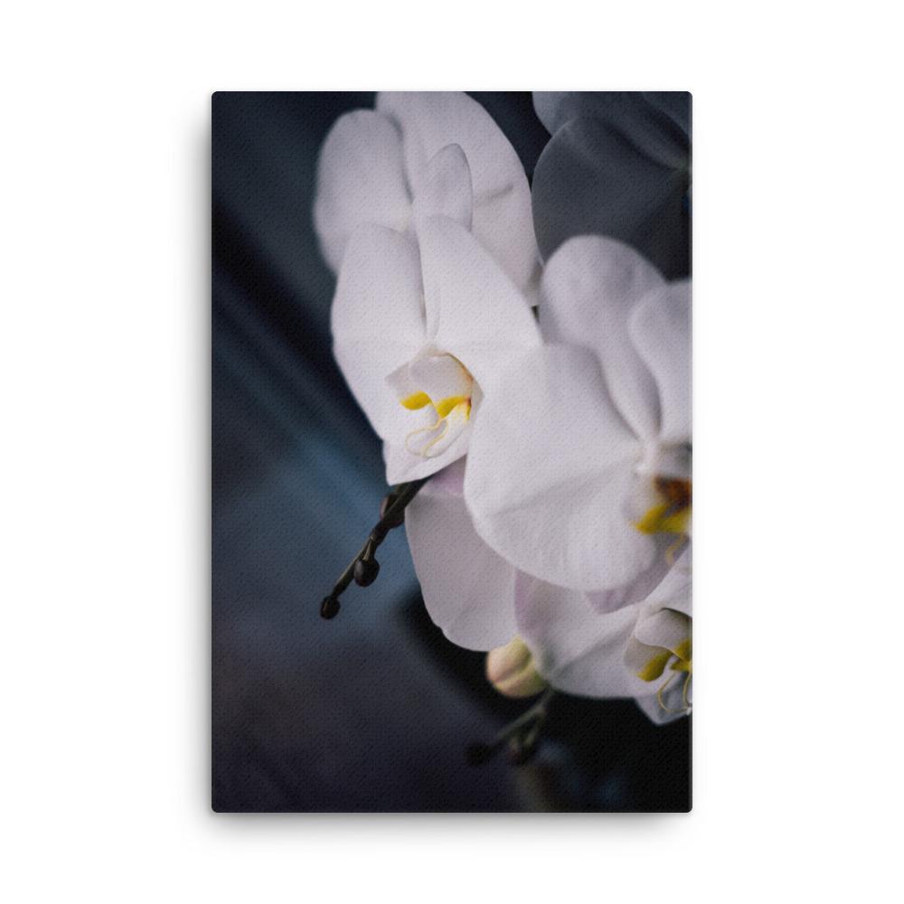 Orchid 02 - Leinwand Kuratoren von artlia 61x91 cm artlia