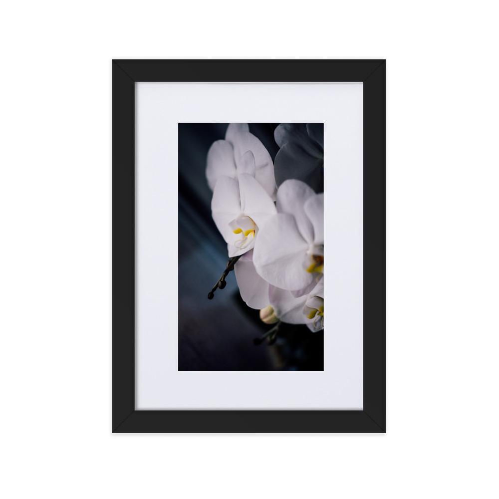 Orchid 02 - Poster im Rahmen mit Passepartout Kuratoren von artlia schwarz / 21×30 cm artlia