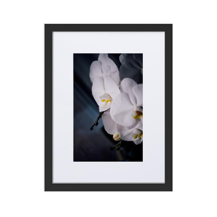 Orchid 02 - Poster im Rahmen mit Passepartout Kuratoren von artlia schwarz / 30×40 cm artlia
