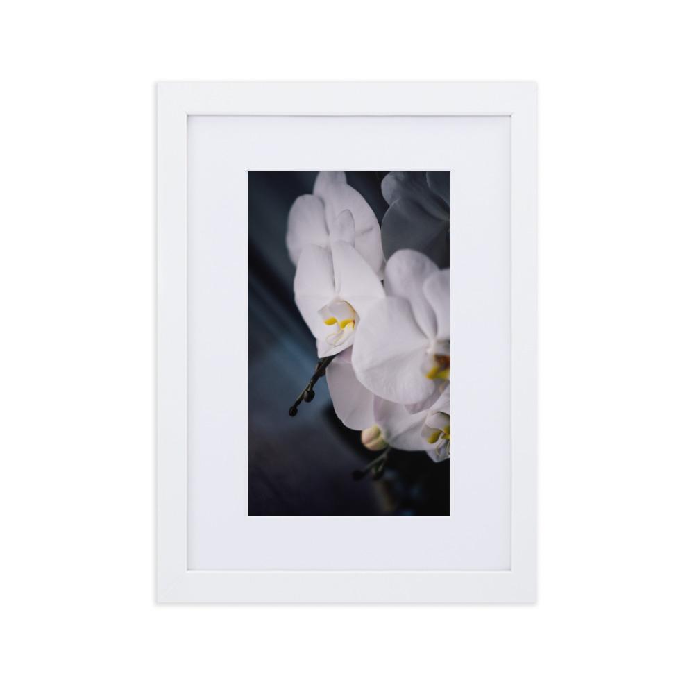 Orchid 02 - Poster im Rahmen mit Passepartout Kuratoren von artlia weiß / 21×30 cm artlia
