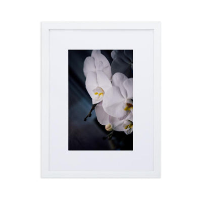 Orchid 02 - Poster im Rahmen mit Passepartout Kuratoren von artlia weiß / 30×40 cm artlia