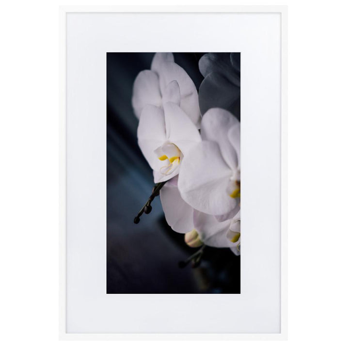 Orchid 02 - Poster im Rahmen mit Passepartout Kuratoren von artlia weiß / 61×91 cm artlia