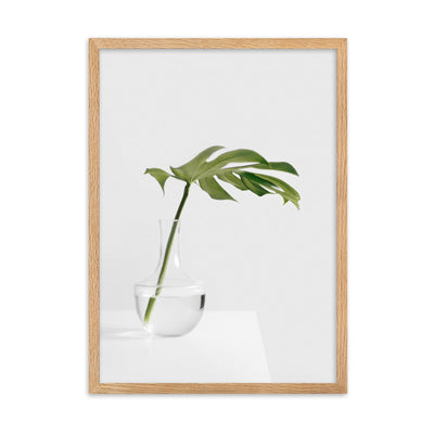 Palm in Vase - Poster im Rahmen Kuratoren von artlia Oak / 50×70 cm artlia