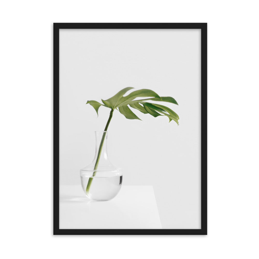 Palm in Vase - Poster im Rahmen Kuratoren von artlia Schwarz / 50×70 cm artlia