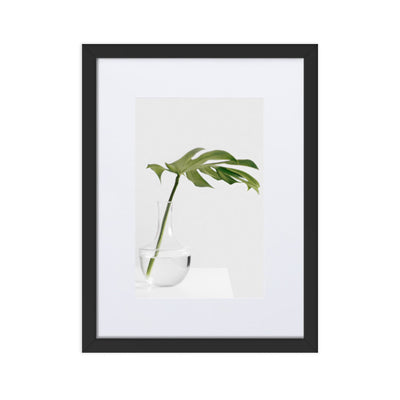 Palm in Vase - Poster im Rahmen mit Passepartout Kuratoren von artlia Schwarz / 30×40 cm artlia