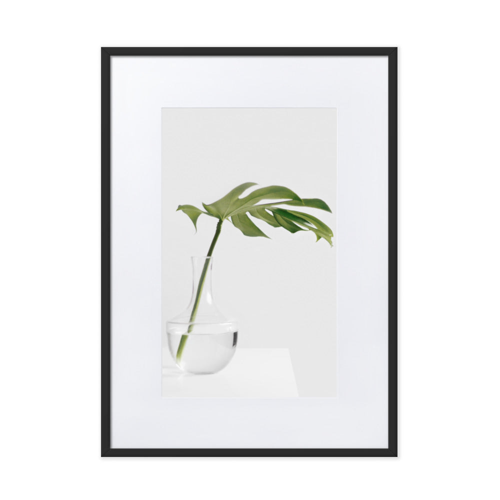 Palm in Vase - Poster im Rahmen mit Passepartout Kuratoren von artlia Schwarz / 50×70 cm artlia