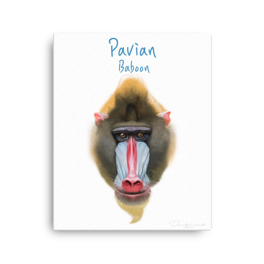 Pavian - Leinwand dear.bon.vivant 41x51 cm artlia
