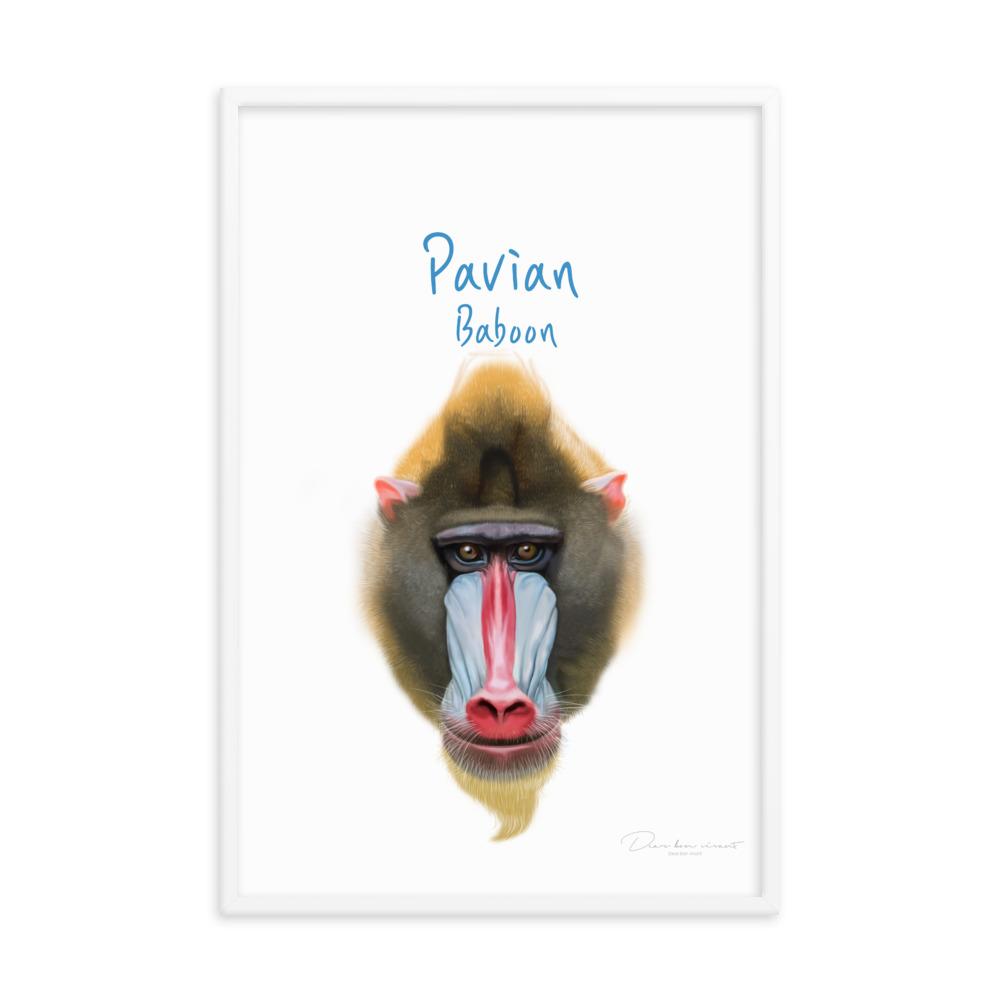 Pavian - Poster im Rahmen für Kinder dear.bon.vivant weiß / 61x91 cm artlia