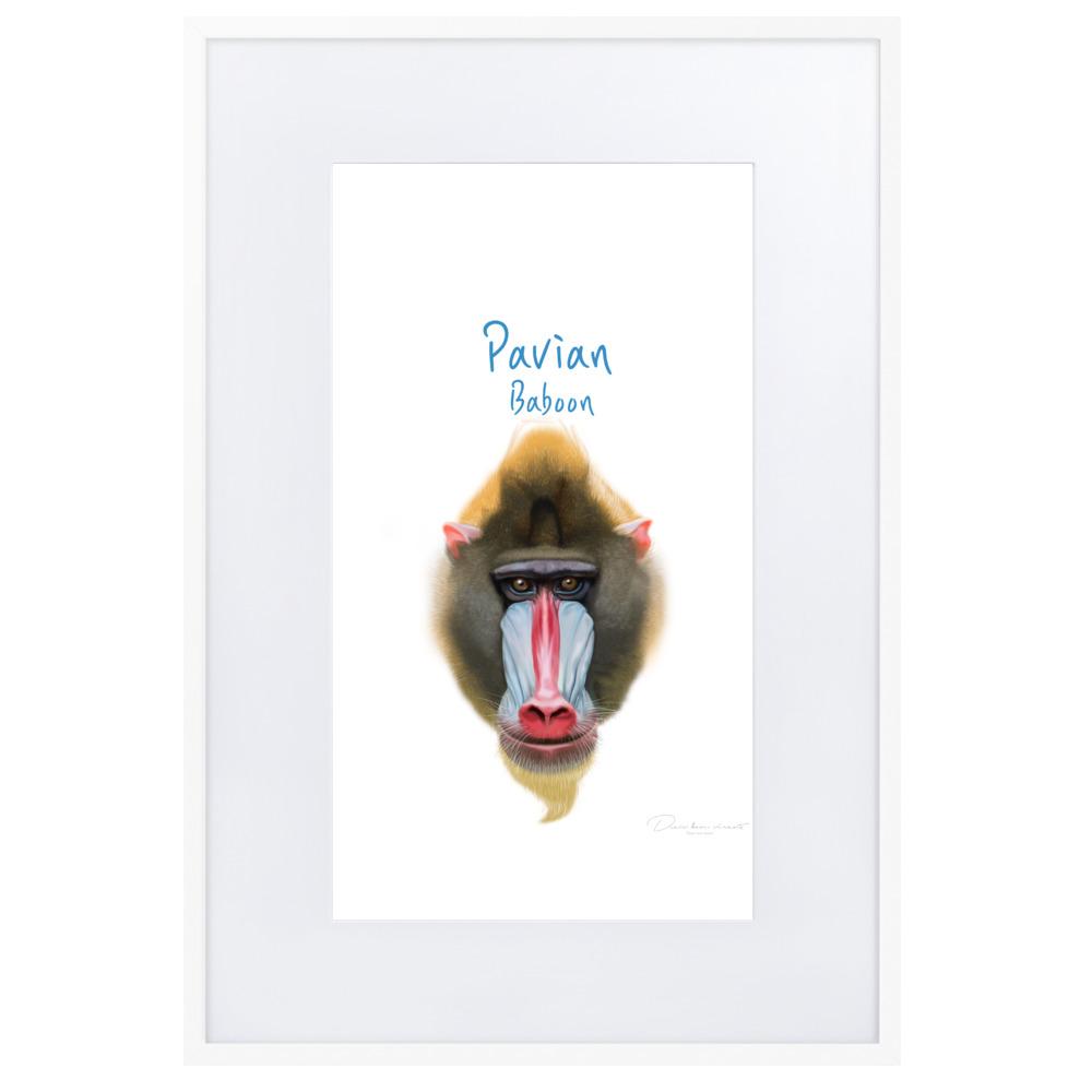 Pavian - Poster im Rahmen mit Passepartout dear.bon.vivant weiß / 61×91 cm artlia