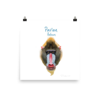 Pavian - Tier Poster für Kinder dear.bon.vivant 25x25 cm artlia