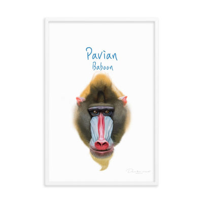 Pavian - Tier Poster für Kinder dear.bon.vivant artlia