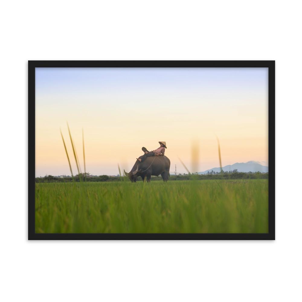 Peaceful Evening - Poster im Rahmen artlia Schwarz / 50×70 cm artlia