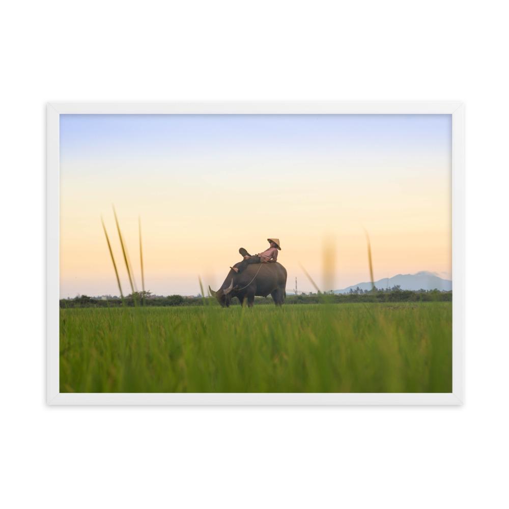 Peaceful Evening - Poster im Rahmen artlia Weiß / 50×70 cm artlia