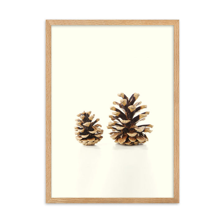 Pine Cone - Poster im Rahmen Kuratoren von artlia Oak / 50×70 cm artlia