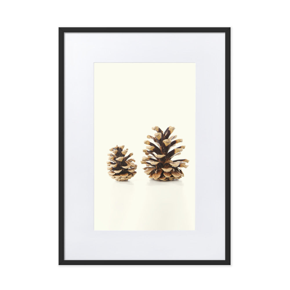 Pine Cone - Poster im Rahmen mit Passepartout Kuratoren von artlia Schwarz / 50×70 cm artlia