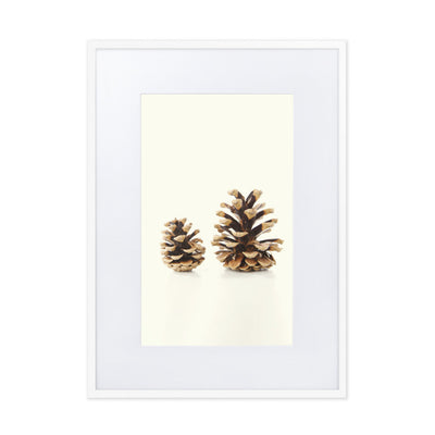 Pine Cone - Poster im Rahmen mit Passepartout Kuratoren von artlia Weiß / 50×70 cm artlia