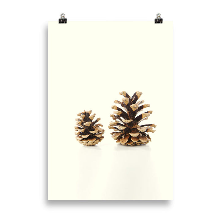 Pine Cone - Poster Kuratoren von artlia 21×30 cm artlia