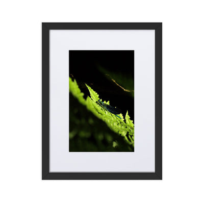 Poster mit Passepartout - Grüne Libelle Kuratoren von artlia Schwarz / 30×40 cm artlia