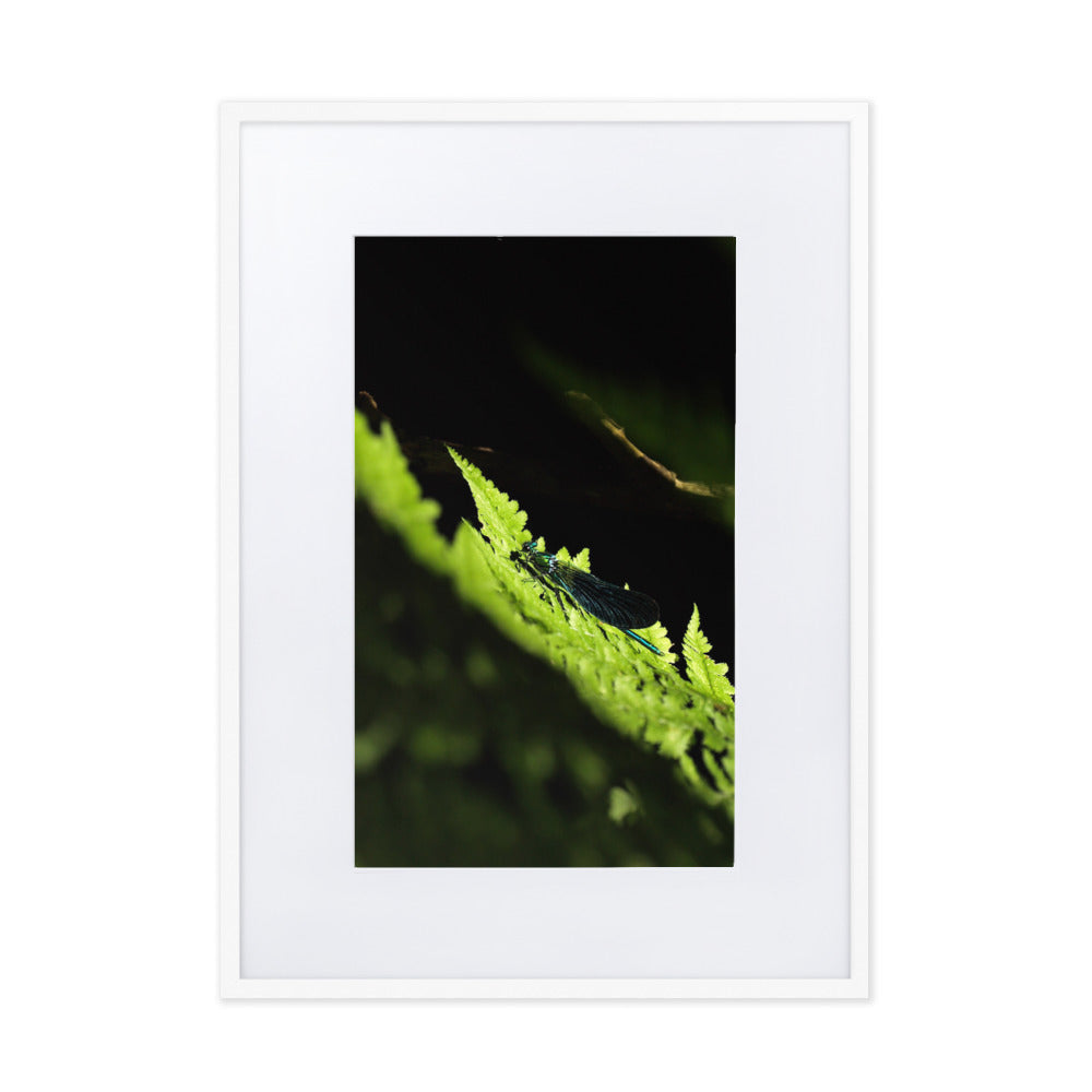 Poster mit Passepartout - Grüne Libelle Kuratoren von artlia Weiß / 50×70 cm artlia