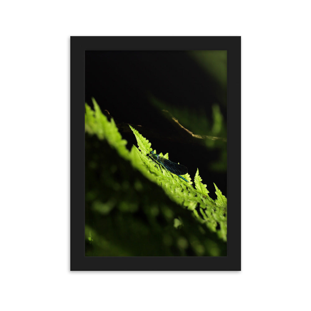 Poster mit Rahmen - Grüne Libelle Kuratoren von artlia Schwarz / 21×30 cm artlia