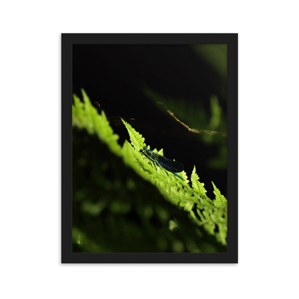 Poster mit Rahmen - Grüne Libelle Kuratoren von artlia Schwarz / 30×40 cm artlia