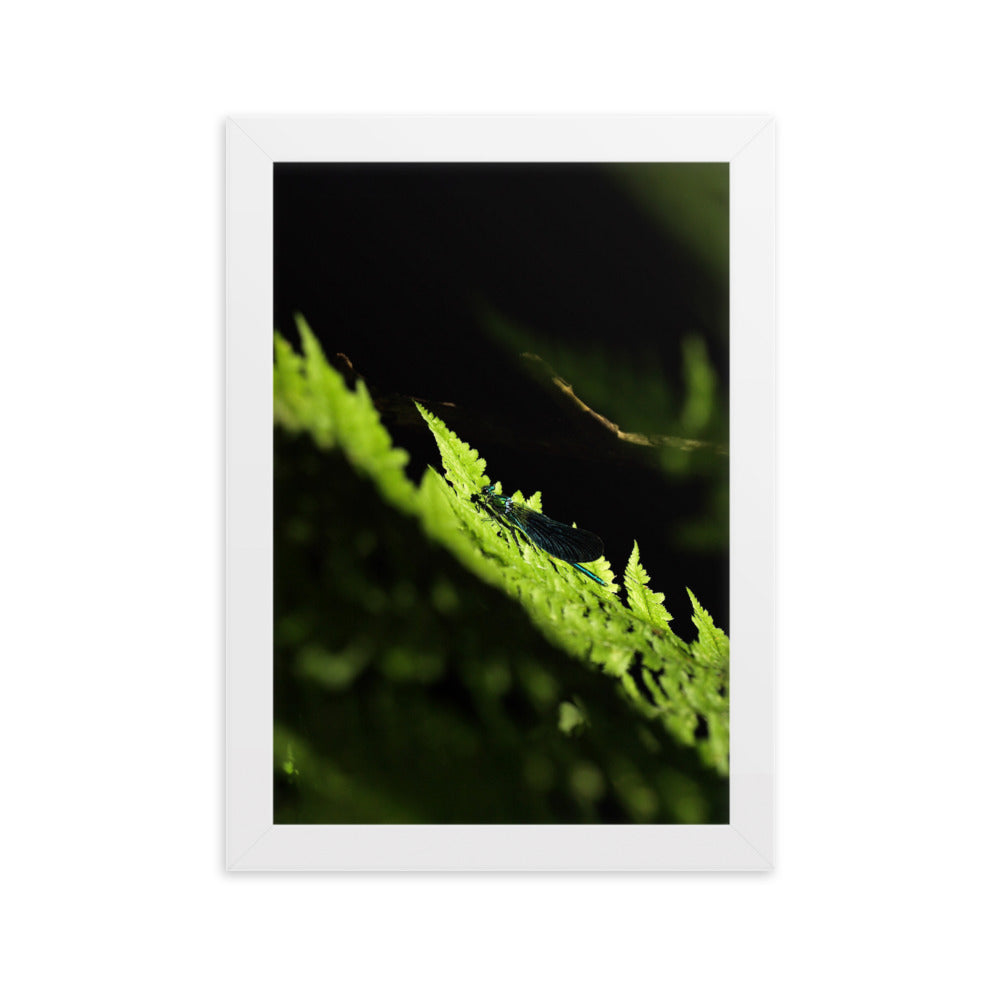 Poster mit Rahmen - Grüne Libelle Kuratoren von artlia Weiß / 21×30 cm artlia