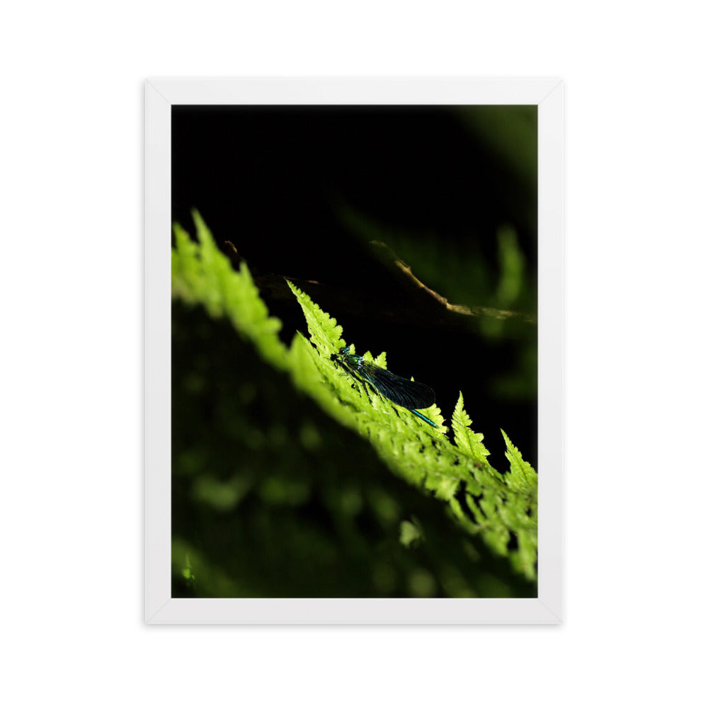Poster mit Rahmen - Grüne Libelle Kuratoren von artlia Weiß / 30×40 cm artlia